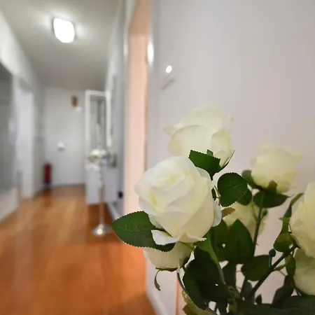 Mm Luxury Diamond & Silver Apartment